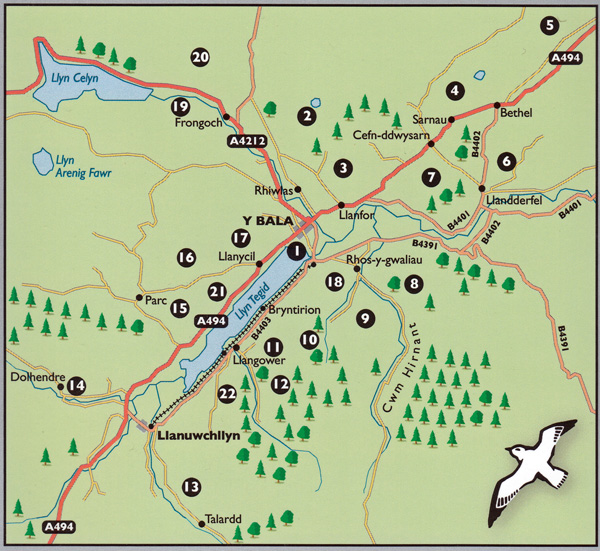 Walks Around Y Bala and Penllyn Guidebook