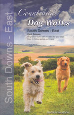 Countryside Dog Walks - South Downs East