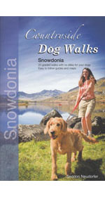 Countryside Dog Walks - Snowdonia