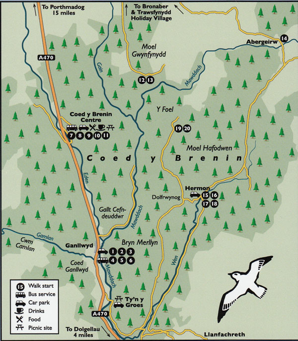 Walks Around Coed Y Brenin Guidebook