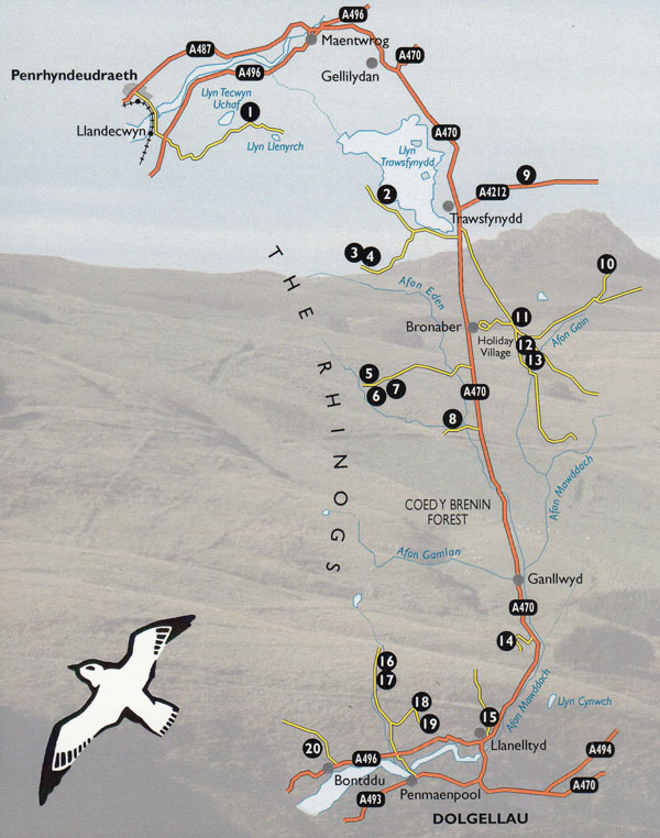 Walks Around the Rhinogs Guidebook