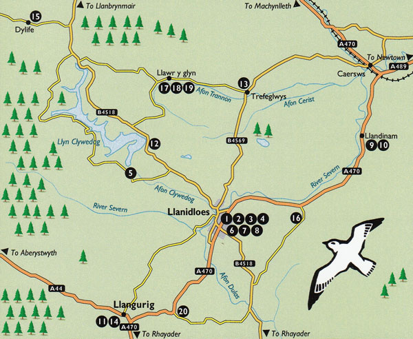 Walks Around Llanidloes Guidebook