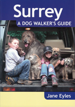 Surrey - A Dog Walker's Guide