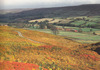 North York Moors