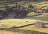 Yorkshire Dales